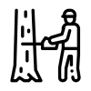 wycinka